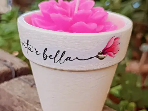 Velita La Vita è Bella