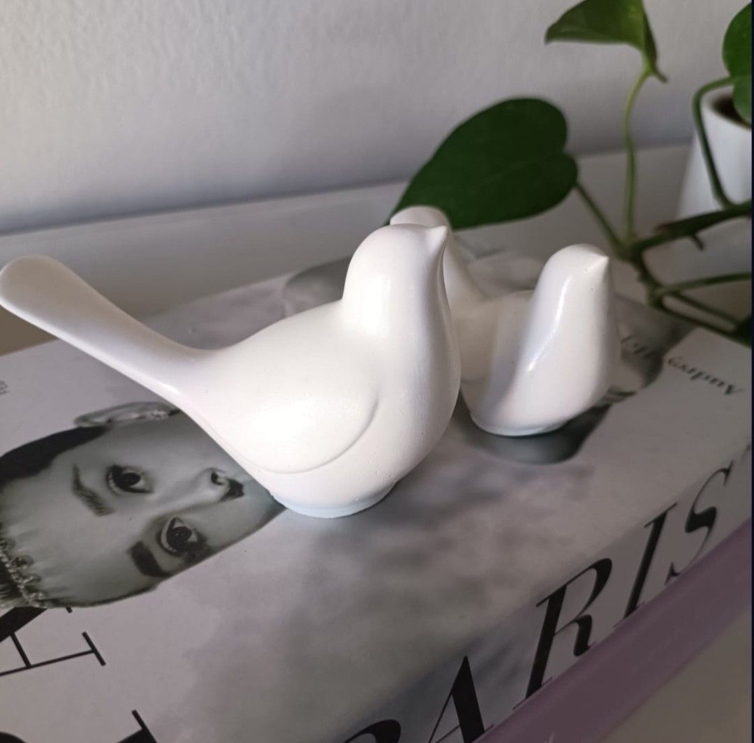 Pareja de aves