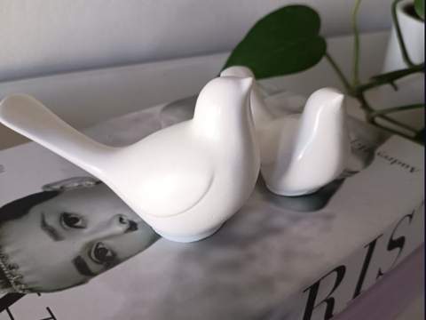 Pareja de aves